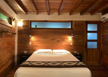 6c39fc67-1da8-43d0-a6ef-bd9bb9ba745a